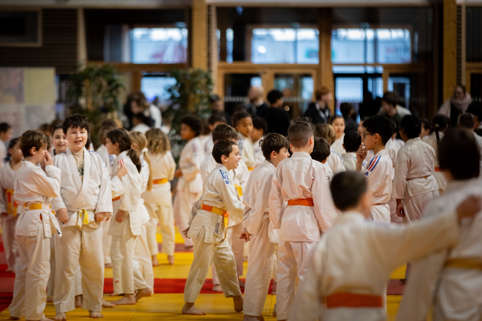 Volcanique Cup 2026